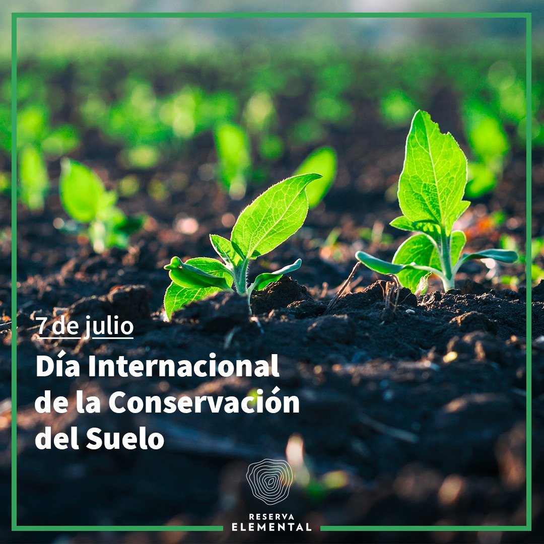 dia-internacional-de-la-conservacion-del-suelo